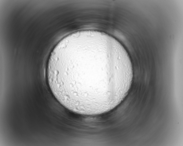 X0000088151419200706111435