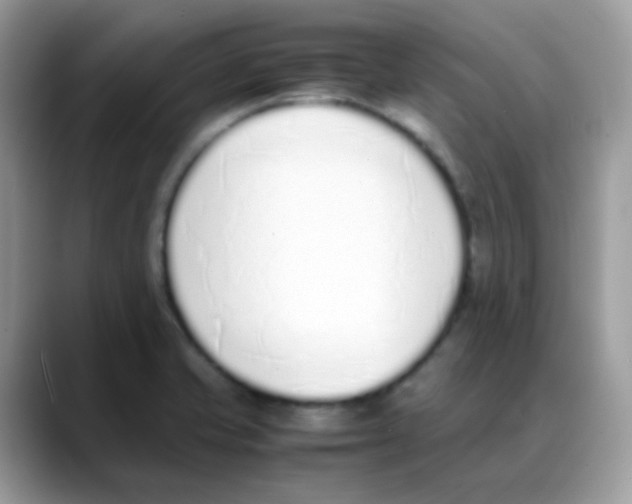 X0000088151421200706111435