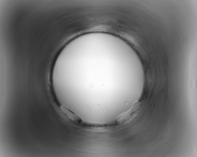 X0000088151422200706111435