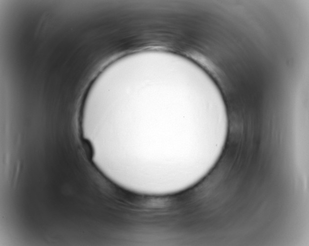 X0000088151423200706111435