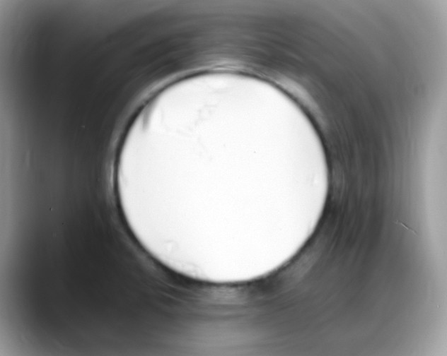 X0000088151424200706111435