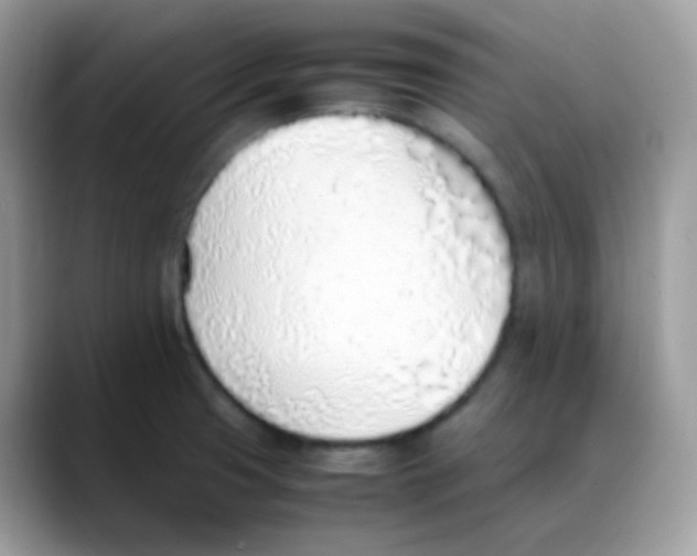 X0000088151425200706111435