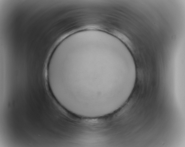 X0000088151428200706111435