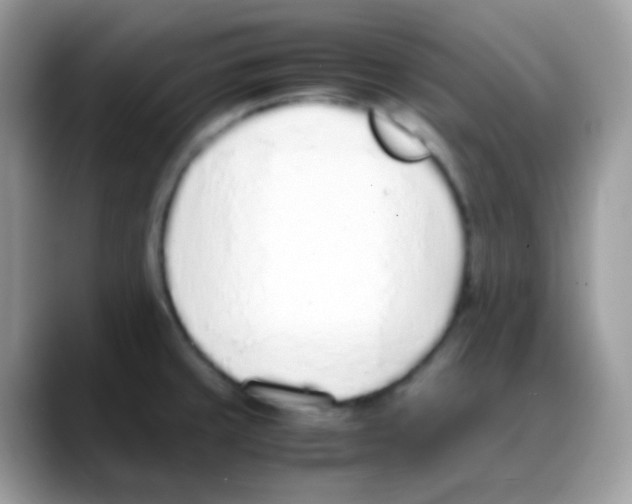 X0000088151429200706111435