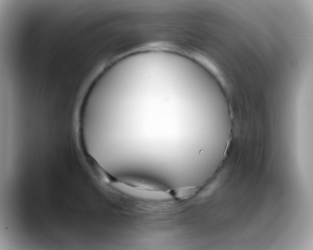 X0000088151430200706111435