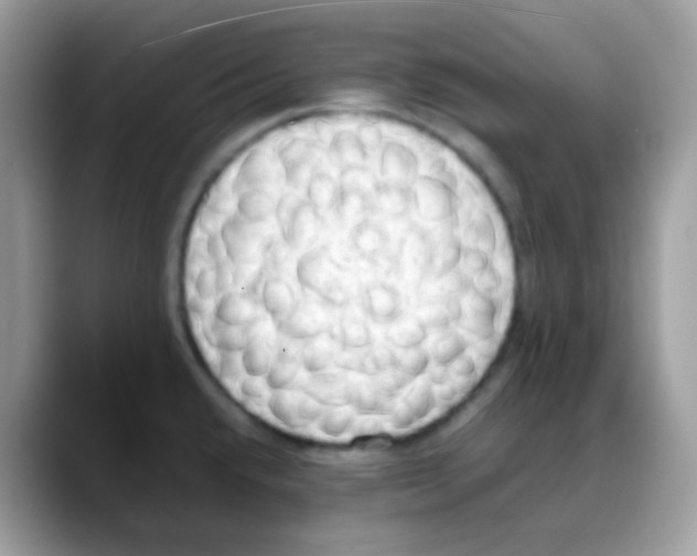 X0000088151432200706111435