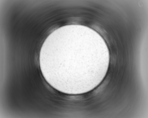 X0000088151433200706111435