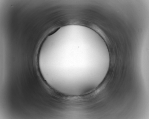 X0000088151434200706111435