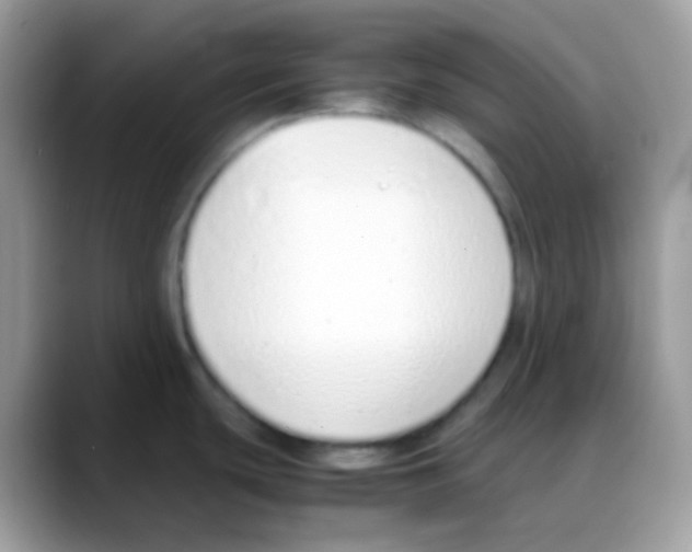 X0000088151439200706111435