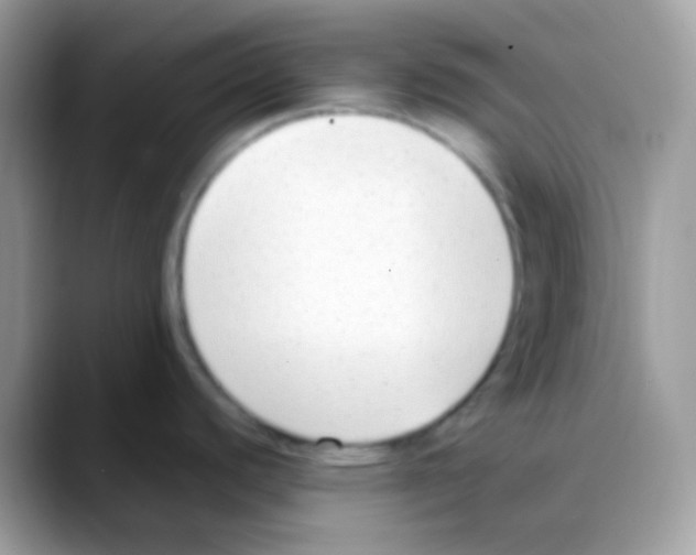 X0000088151440200706111435