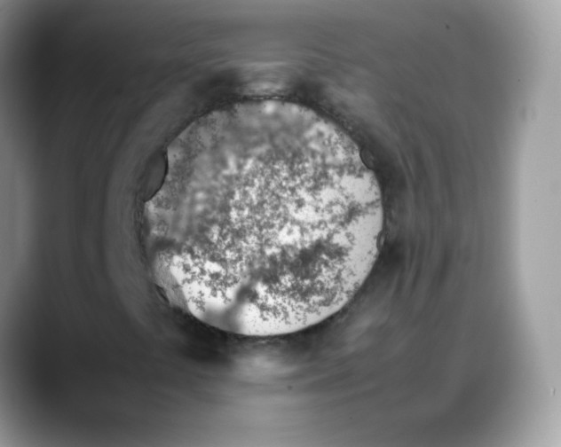 X0000088151441200706111435