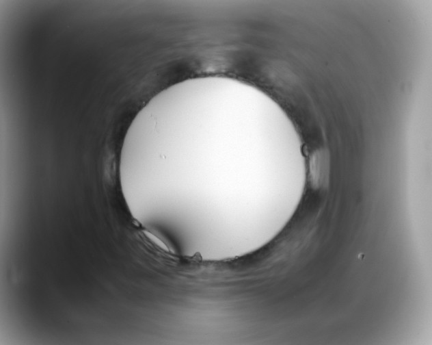 X0000088151443200706111435