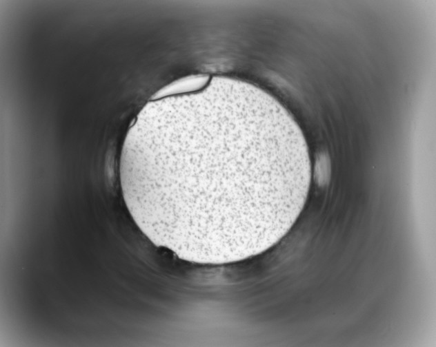 X0000088151444200706111435