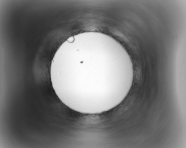 X0000088151446200706111435