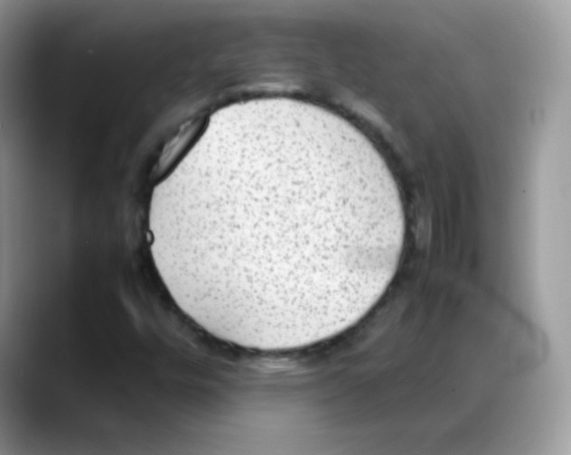 X0000088151448200706111435