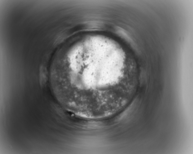 X0000088151449200706111435