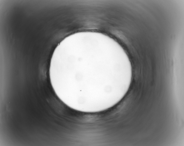 X0000088151451200706111435