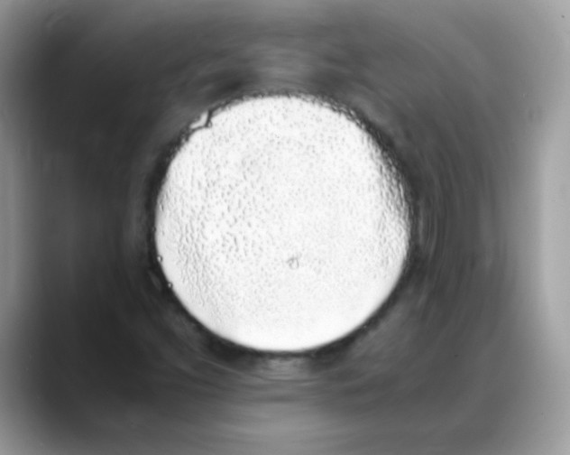 X0000088151453200706111435