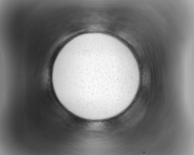 X0000088151454200706111435