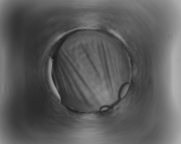 X0000088151455200706111435