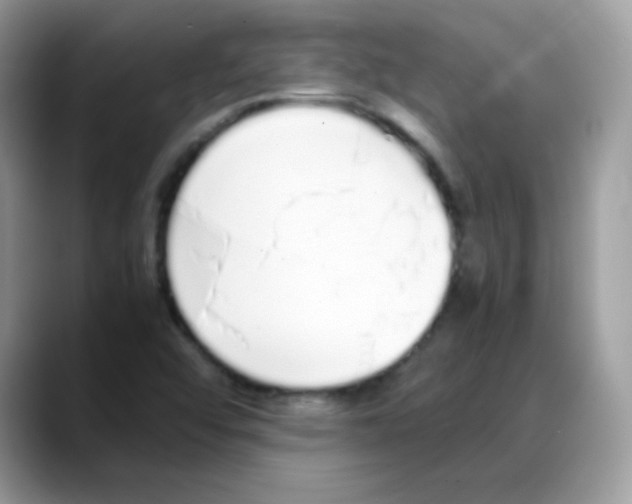 X0000088151456200706111435