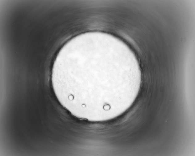 X0000088151461200706111434