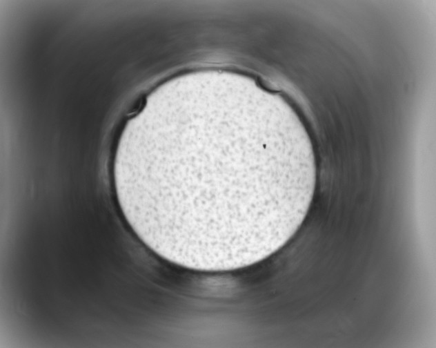 X0000088151464200706111434