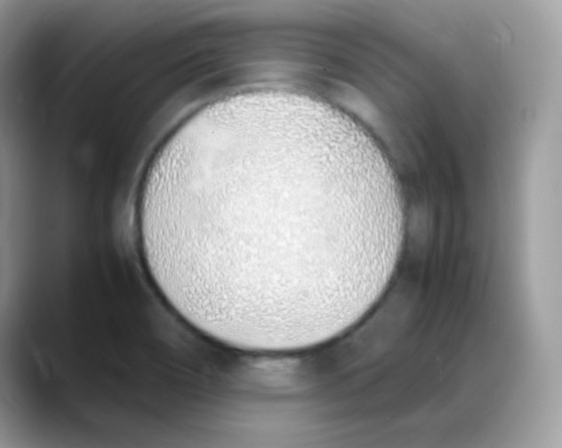 X0000088151466200706111434