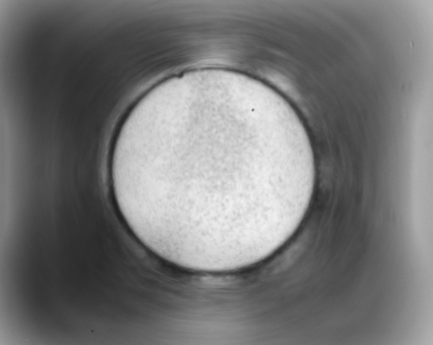 X0000088151469200706111434