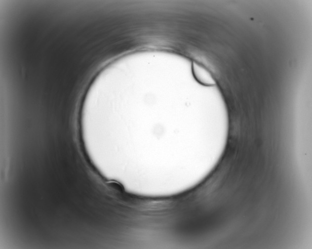 X0000088151471200706111434