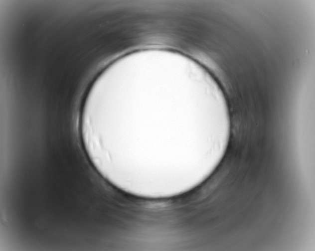 X0000088151472200706111434