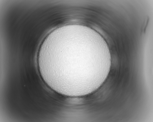 X0000088151474200706111434