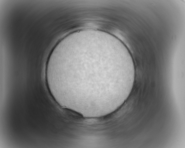 X0000088151477200706111434