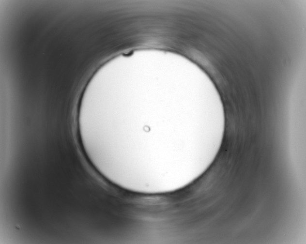 X0000088151479200706111434