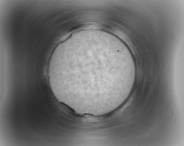 X0000088151481200706111434