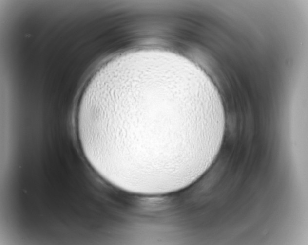 X0000088151482200706111434