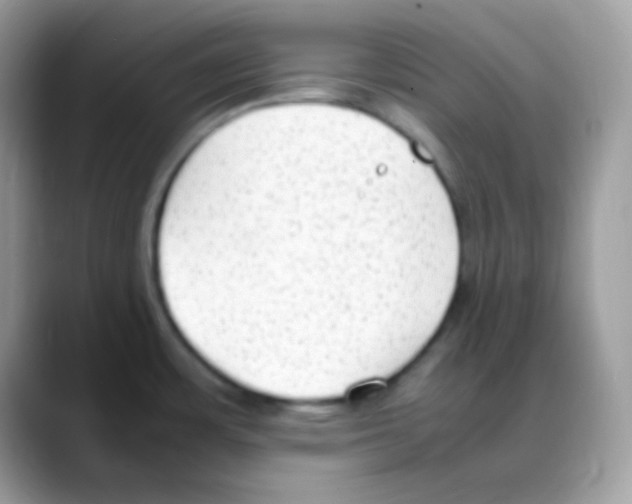 X0000088151483200706111434