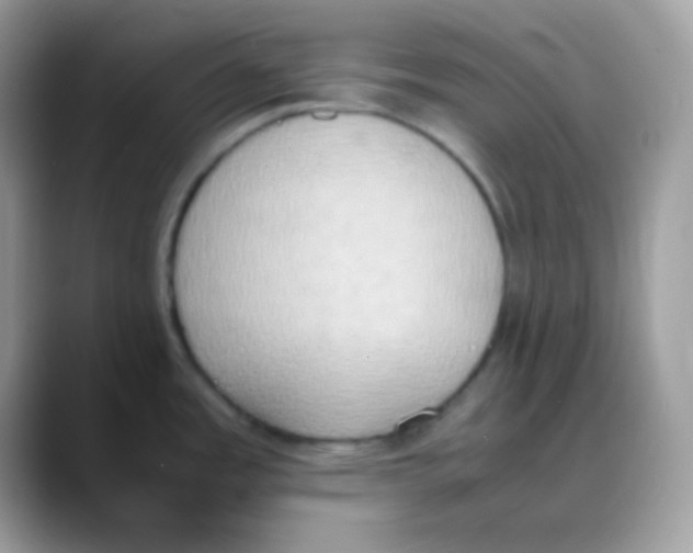 X0000088151485200706111434