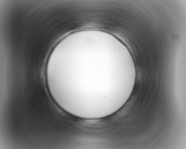 X0000088151486200706111434