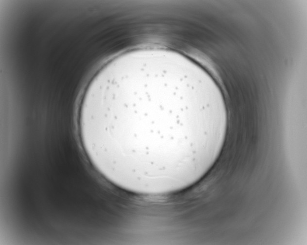 X0000088151488200706111434