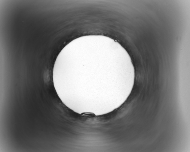 X0000088151490200706111434