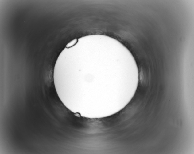 X0000088151492200706111434