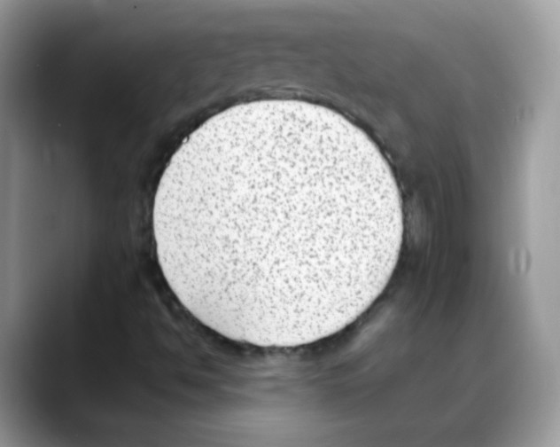 X0000088151494200706111434