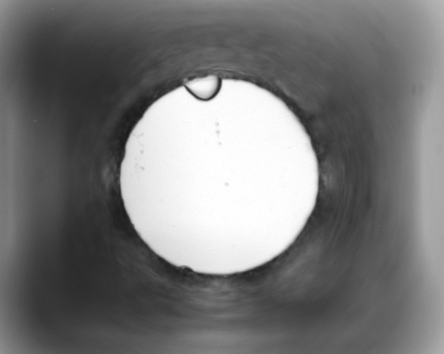 X0000088151495200706111434