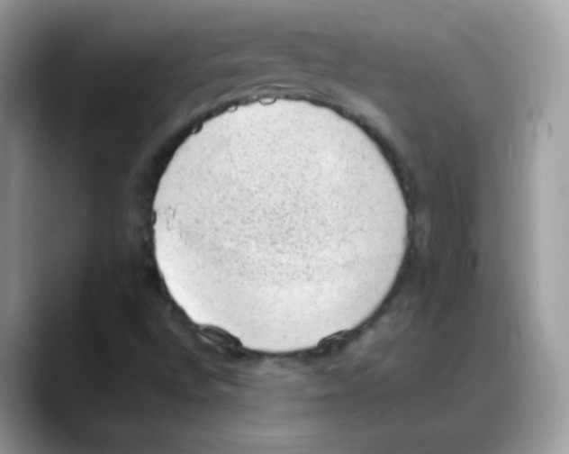 X0000088151496200706111434