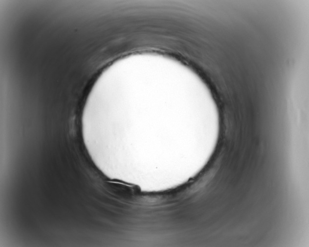 X0000088151497200706111434