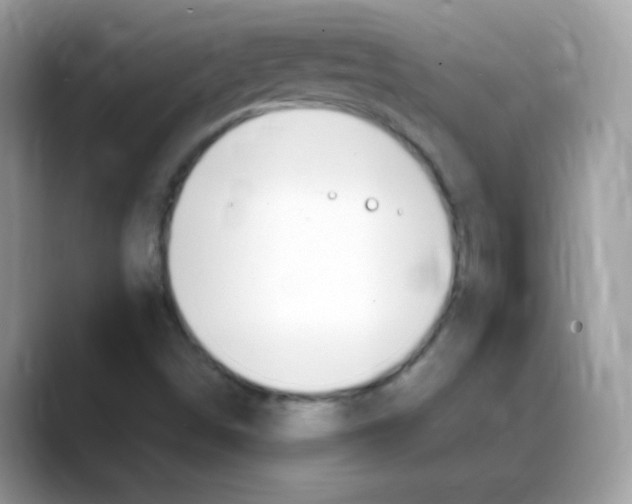 X0000088151498200706111434