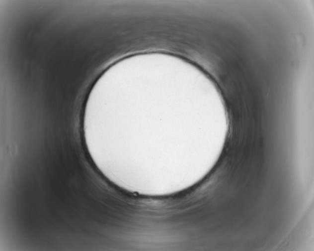 X0000088151500200706111434