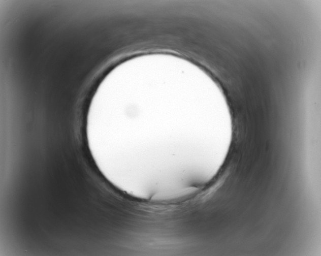 X0000088151502200706111434