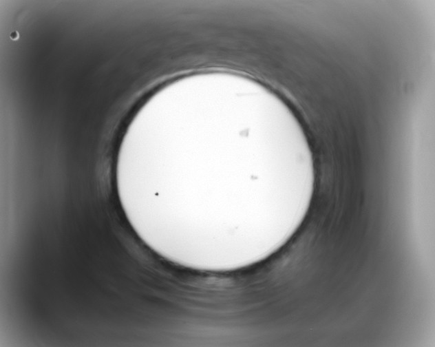 X0000088151503200706111434